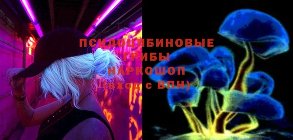 мяу мяу кристалл Няндома