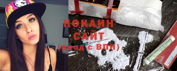 мяу мяу кристалл Няндома