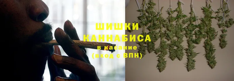 Шишки марихуана SATIVA & INDICA  закладки  Почеп 